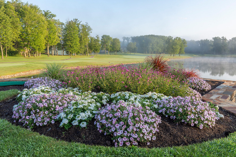 Landscapers Hilton Head Island