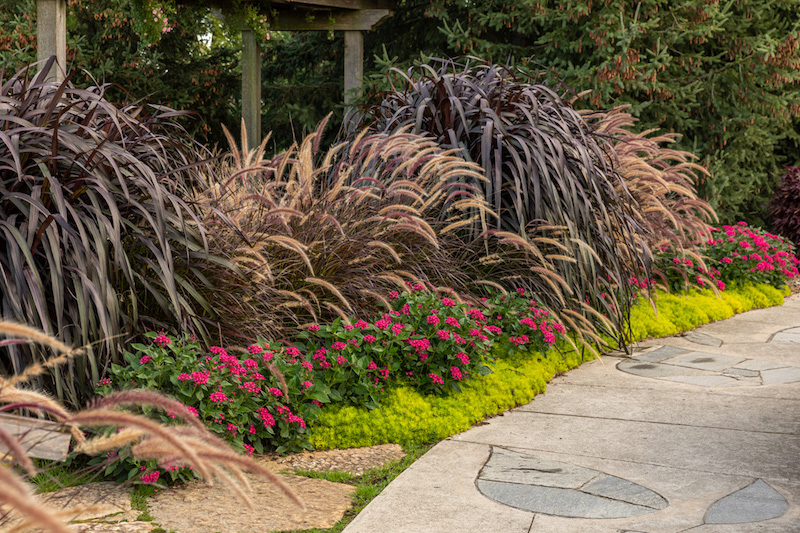 Include Hardscape Landscaping for a Retired Homeowner