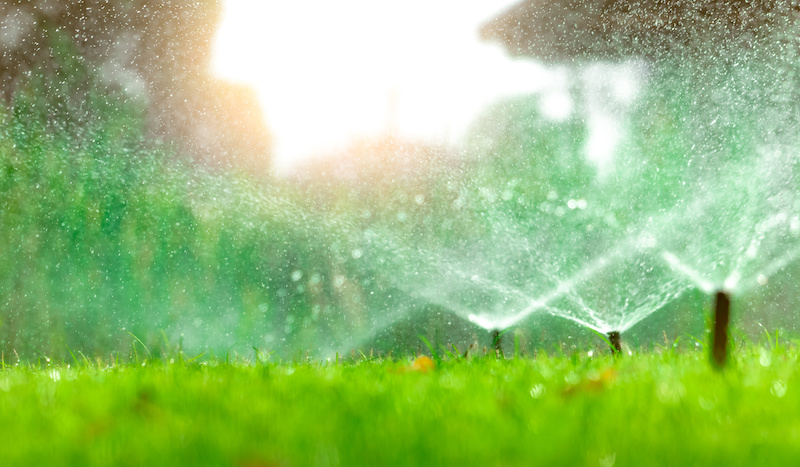 Common Lawn Sprinkler Repair Problems - LowCo Gardeners