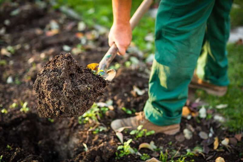 4 Important Reasons for Landscape Maintenance