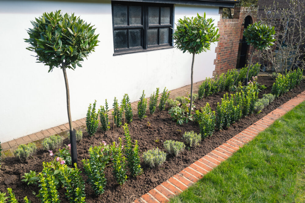 Landscape Installation for Added Curb Appeal